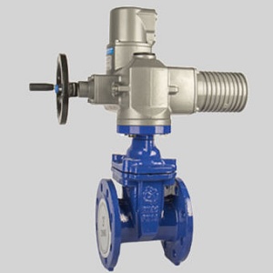 Задвижка РАШВОРК 105