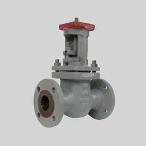 Задвижка 30с915нж