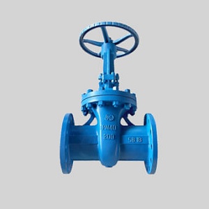 Задвижка 30лс76нж