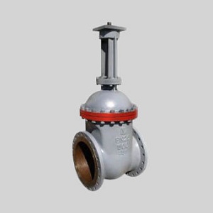 Задвижка 30с927нж