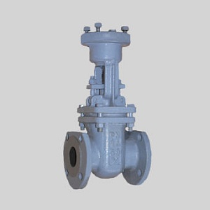 Задвижка 30с941нж