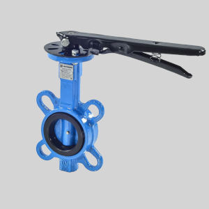 Затвор межфланцевый Benarmo Рус EPDM