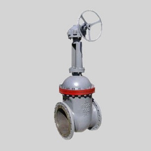 Задвижка 30с576нж