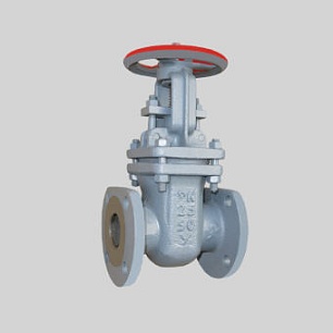 Задвижка 30с64нж