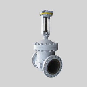 Задвижка 30с976нж