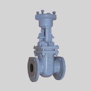 Задвижка 30с941нж